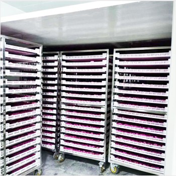 Pengenalan Dasar Pengering Buah Dan Sayur